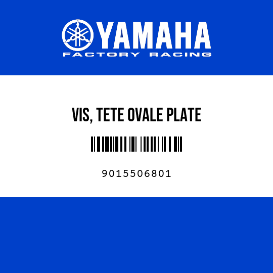 VIS, TETE OVALE PLATE