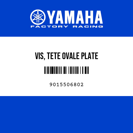 VIS, TETE OVALE PLATE