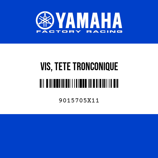 VIS, TETE TRONCONIQUE