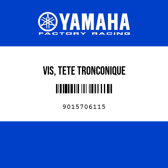 VIS, TETE TRONCONIQUE