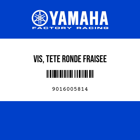 VIS, TETE RONDE FRAISEE