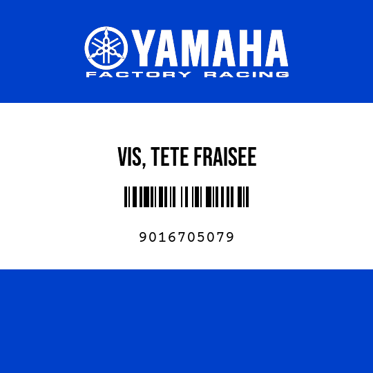 VIS, TETE FRAISEE