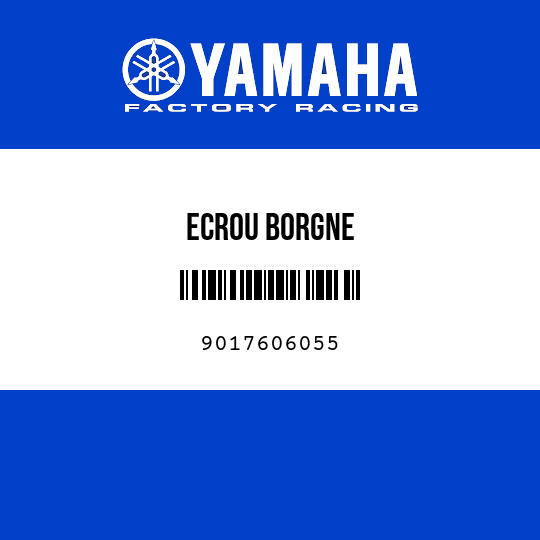 ECROU BORGNE