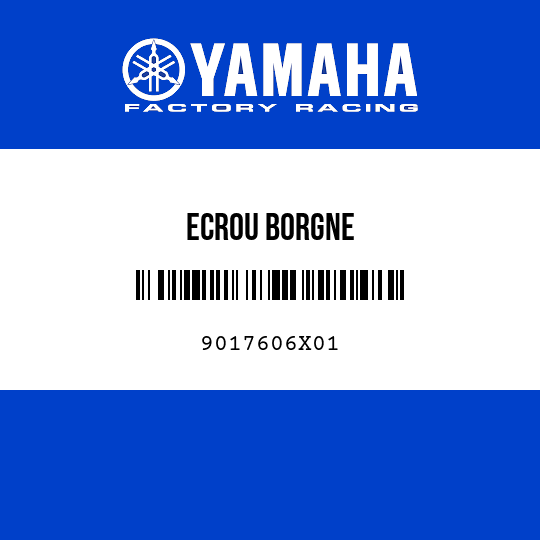 ECROU BORGNE