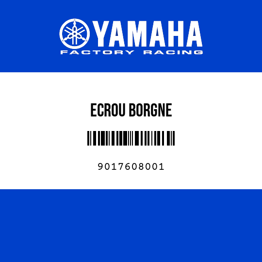 ECROU BORGNE