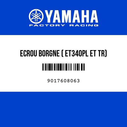 ECROU BORGNE ( ET340PL ET TR)