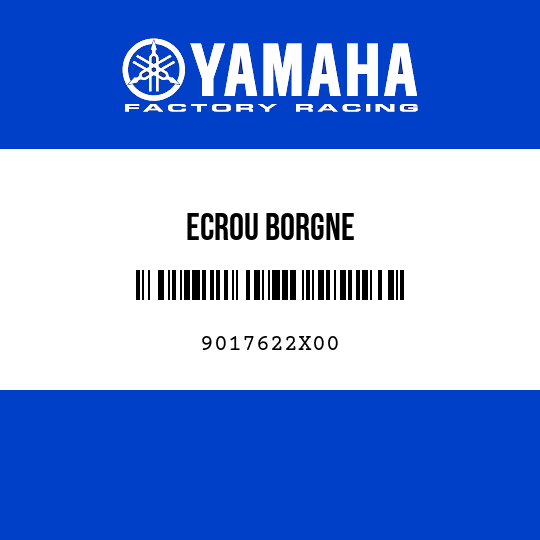 ECROU BORGNE