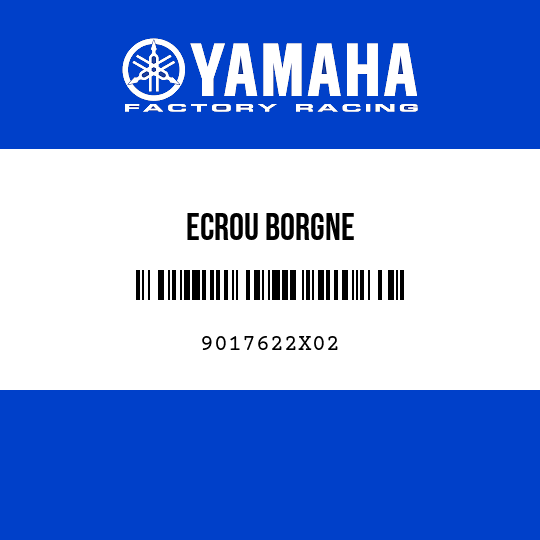 ECROU BORGNE