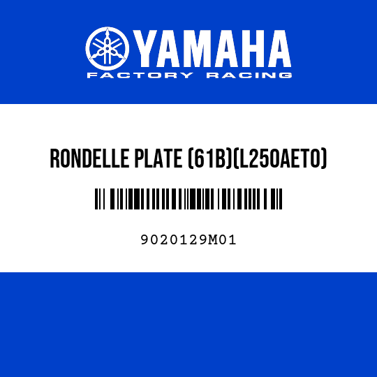 RONDELLE PLATE (61B)(L250AETO)