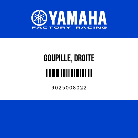GOUPILLE, DROITE