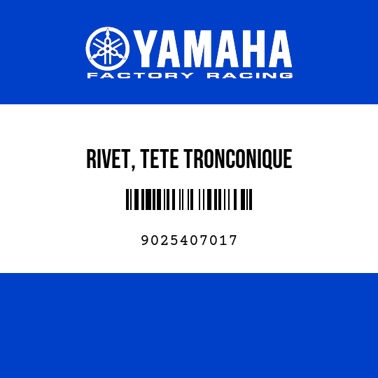 RIVET, TETE TRONCONIQUE