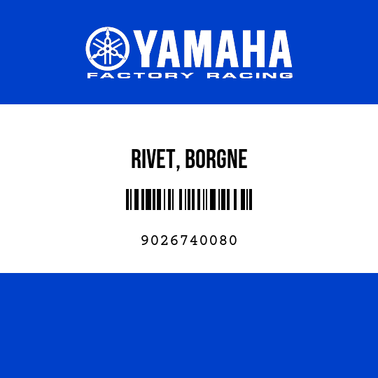 RIVET, BORGNE