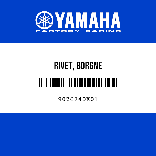 RIVET, BORGNE