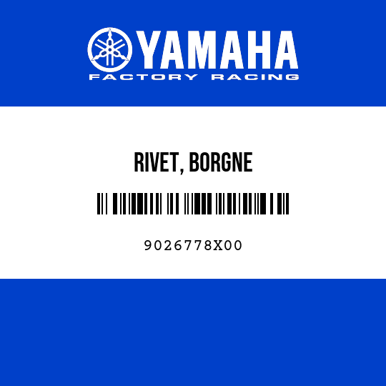 RIVET, BORGNE