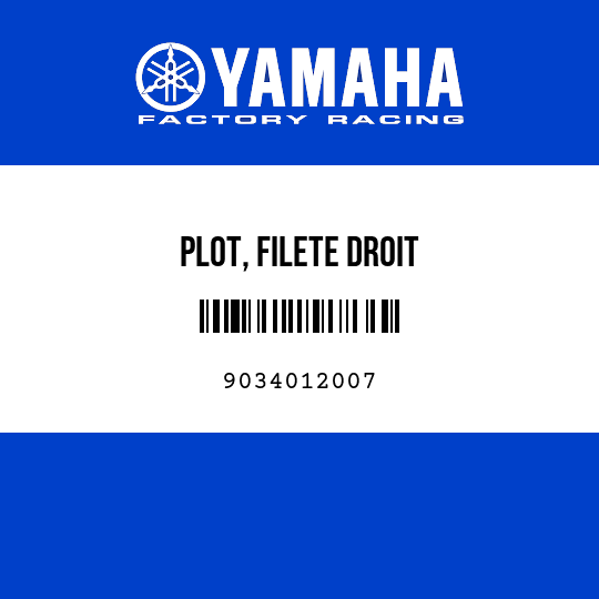 PLOT, FILETE DROIT
