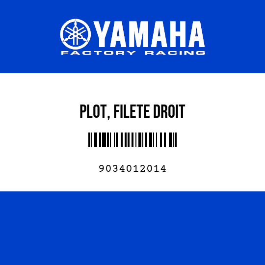 PLOT, FILETE DROIT