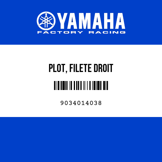 PLOT, FILETE DROIT