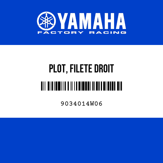 PLOT, FILETE DROIT