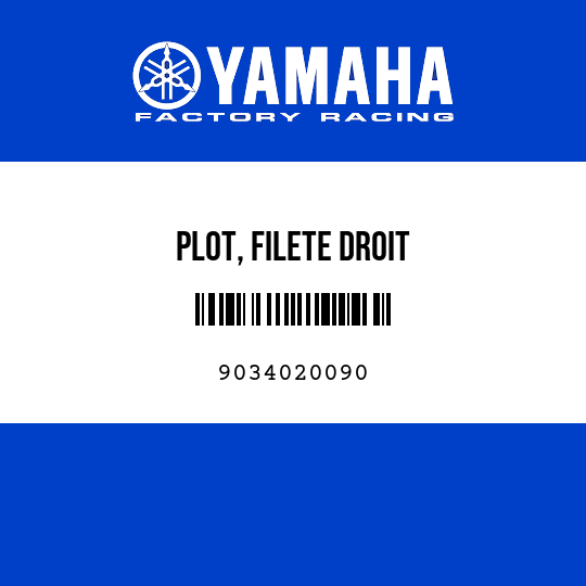 PLOT, FILETE DROIT