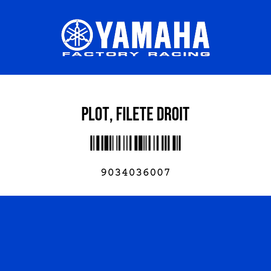 PLOT, FILETE DROIT
