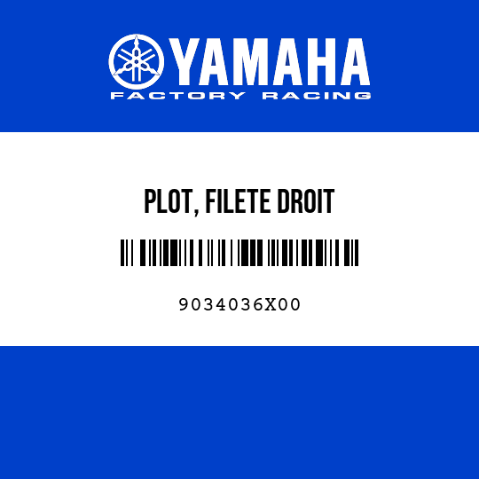 PLOT, FILETE DROIT
