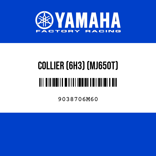 COLLIER (6H3) (MJ650T)