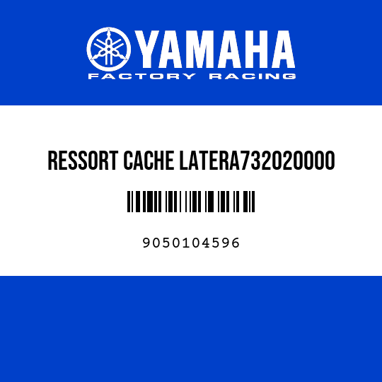 RESSORT CACHE LATERA732020000