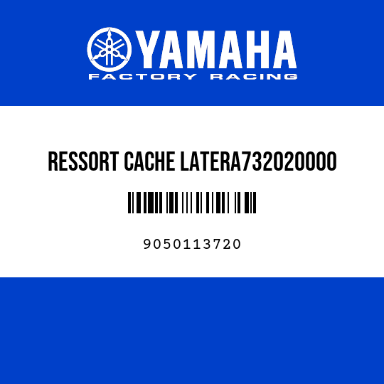RESSORT CACHE LATERA732020000