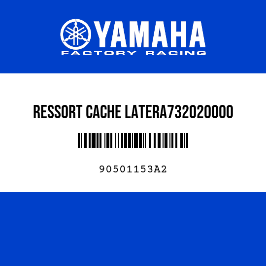 RESSORT CACHE LATERA732020000