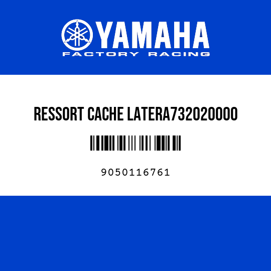 RESSORT CACHE LATERA732020000