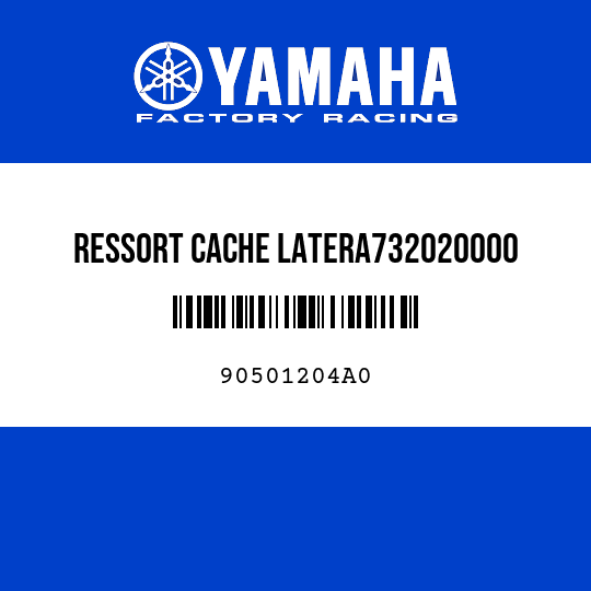 RESSORT CACHE LATERA732020000