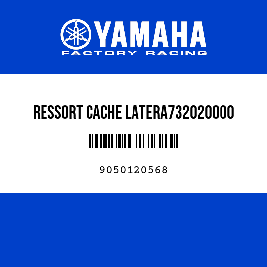 RESSORT CACHE LATERA732020000