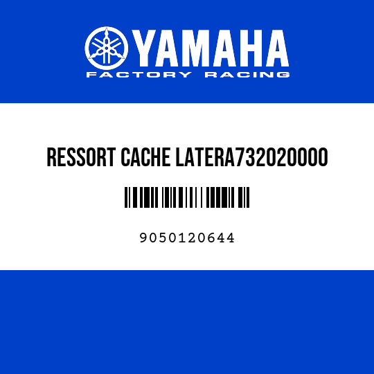 RESSORT CACHE LATERA732020000