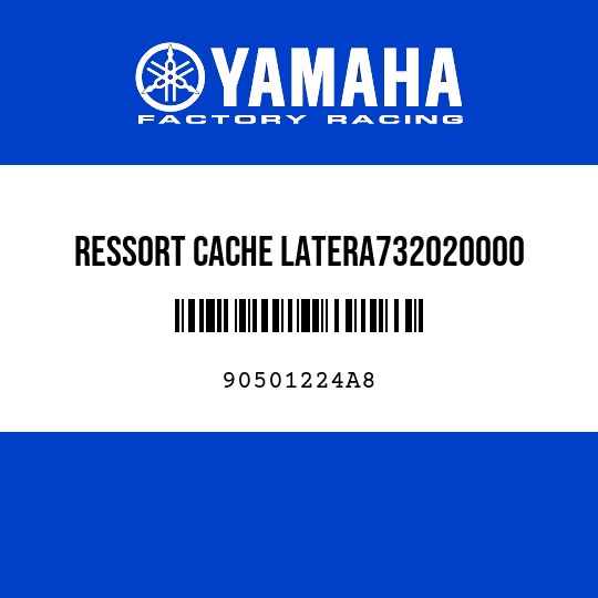 RESSORT CACHE LATERA732020000