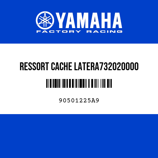 RESSORT CACHE LATERA732020000