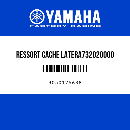 RESSORT CACHE LATERA732020000