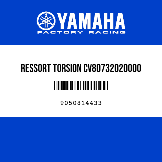 RESSORT TORSION CV80732020000