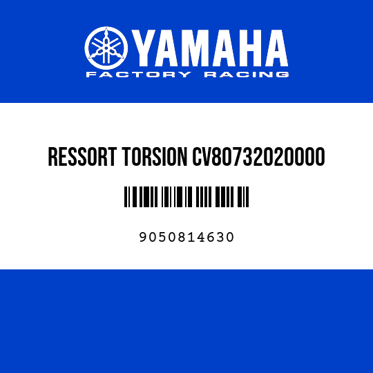 RESSORT TORSION CV80732020000