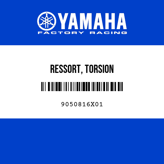 RESSORT, TORSION