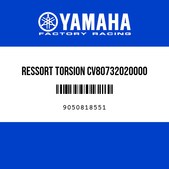 RESSORT TORSION CV80732020000