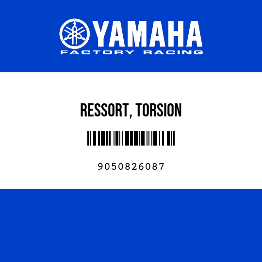 RESSORT, TORSION