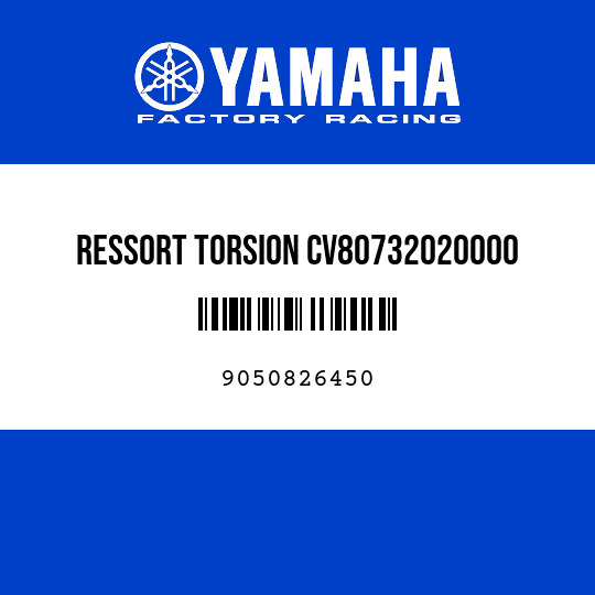 RESSORT TORSION CV80732020000