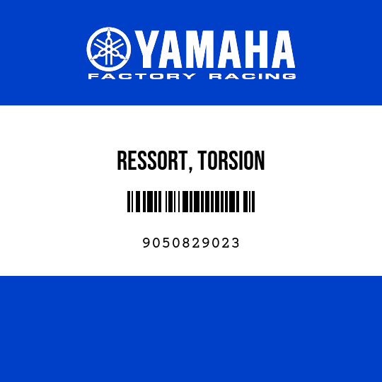 RESSORT, TORSION