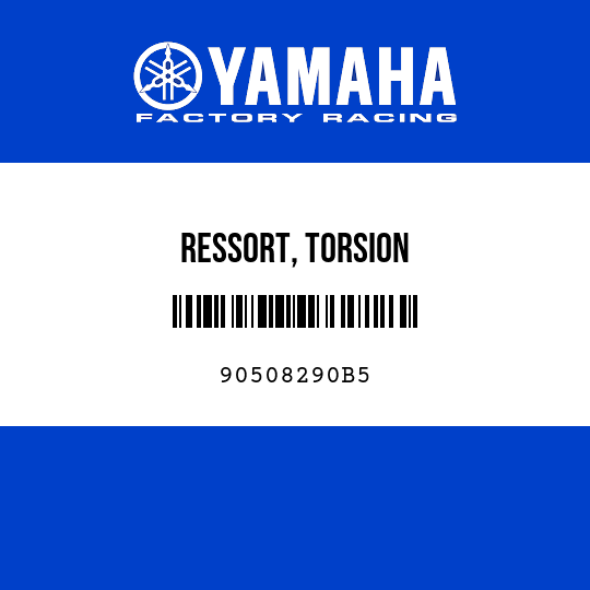 RESSORT, TORSION