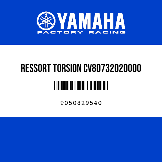 RESSORT TORSION CV80732020000