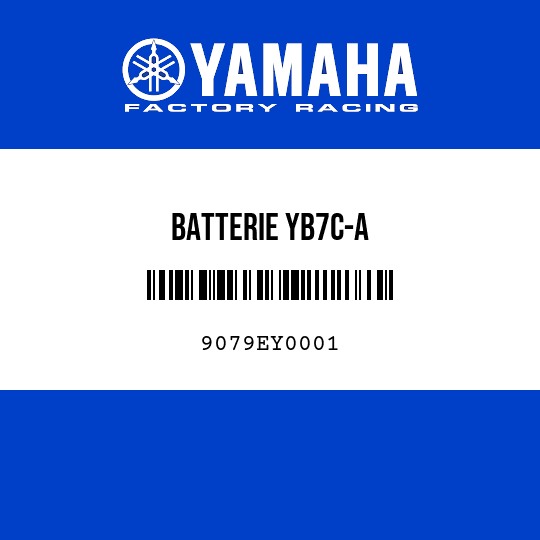 BATTERIE YB7C-A