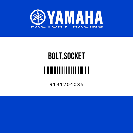 BOLT,SOCKET