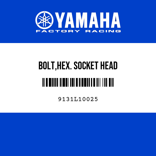 BOLT,HEX. SOCKET HEAD