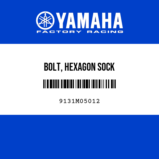BOLT, HEXAGON SOCK