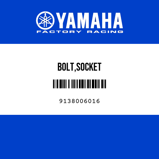 BOLT,SOCKET